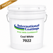 IC 7022 Cool White FlexCure - 5 Gallon